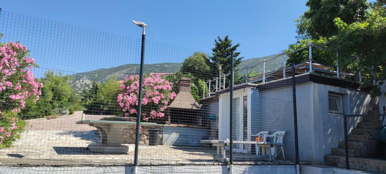 Resort Haus Toma Cesarica Exteriör bild