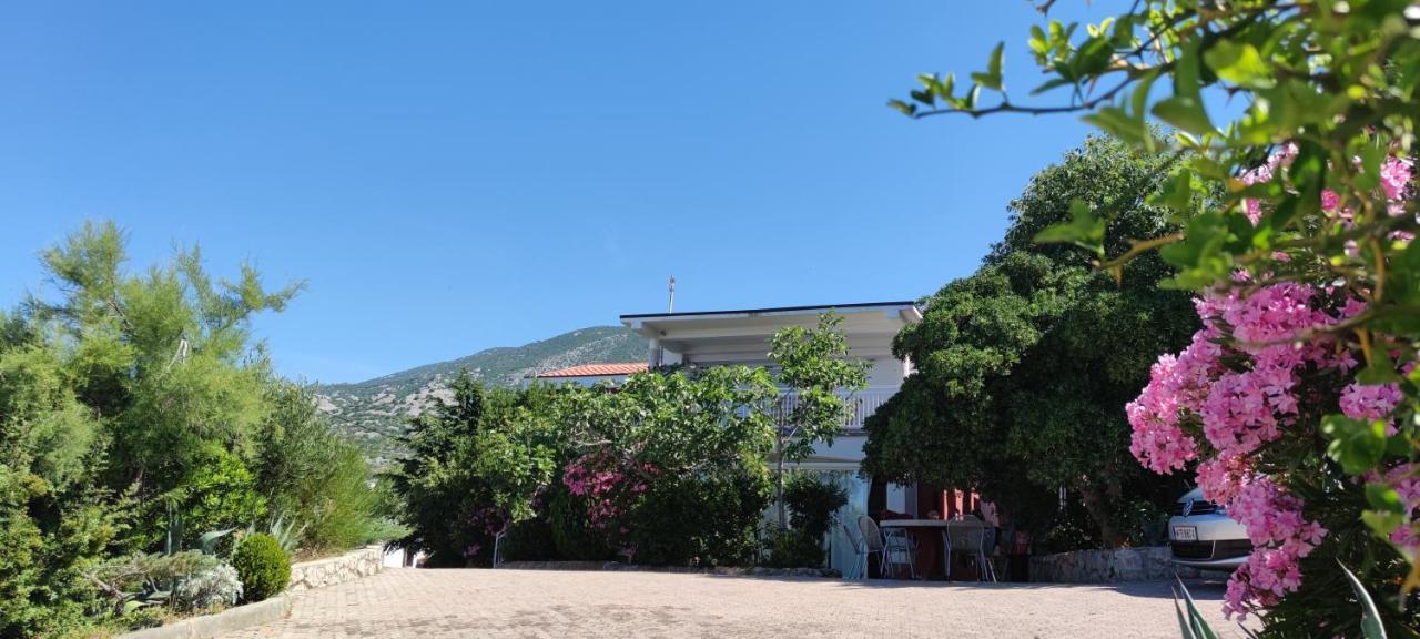 Resort Haus Toma Cesarica Exteriör bild