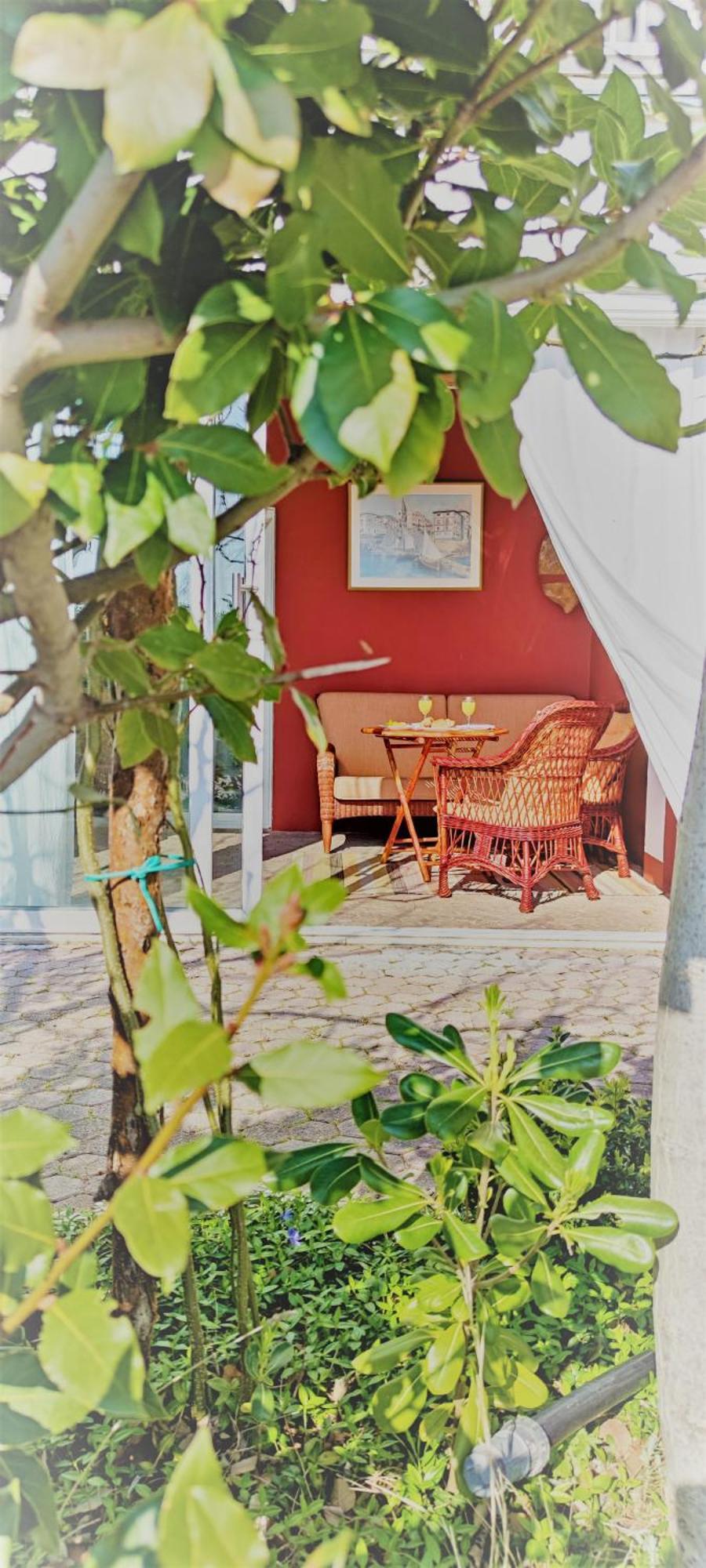 Resort Haus Toma Cesarica Rum bild