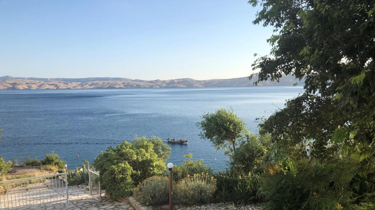 Resort Haus Toma Cesarica Exteriör bild