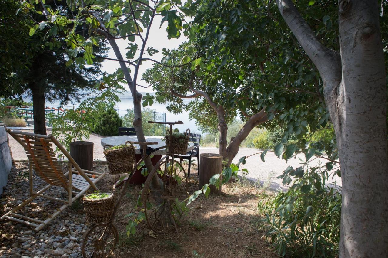 Resort Haus Toma Cesarica Exteriör bild